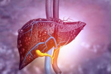 Cảm biến phát hiện mô gan có sẹo hoặc mỡ