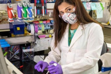 Nhựa có thể tái chế tốt hơn thông qua các quá trình hóa học và sinh học