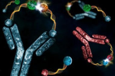 Sử dụng kháng thể để kiểm soát các phản ứng hóa học