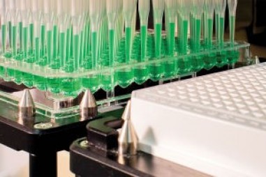 Thử nghiệm thông lượng cao cải thiện kết quả hơn