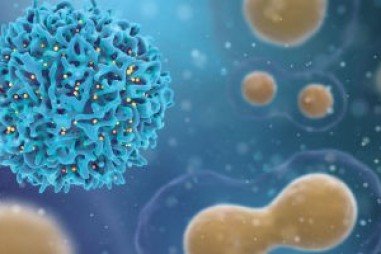 Protein tổng hợp phối hợp phát tín hiệu gây ung thư để điều trị ung thư