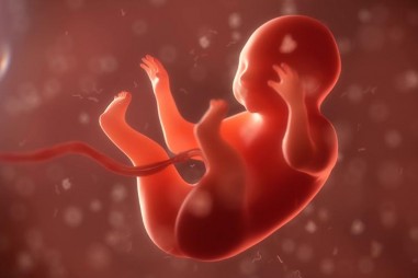 Phát hiện tế bào ung thư truyền từ mẹ sang con qua... nước ối