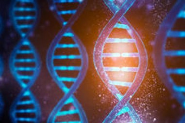 Bật/tắt chức năng ADN bằng ánh sáng