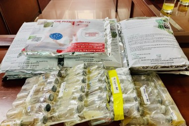 Sản xuất thức ăn chăn nuôi thô xanh dạng lỏng bằng công nghệ vi sinh