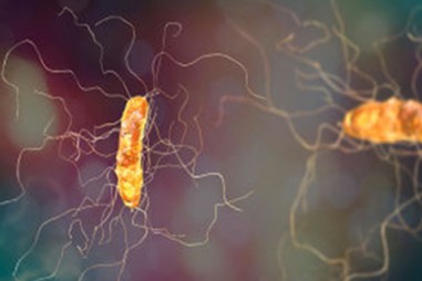 Cách tiếp cận đơn giản có thể giúp tiêu diệt vi khuẩn kháng kháng sinh