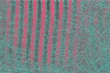 Chất chống oxy hóa cải thiện hình ảnh kích thước nano của Polyme