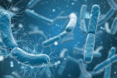 Nhóm kháng sinh mới hoạt động chống nhiều loại vi khuẩn