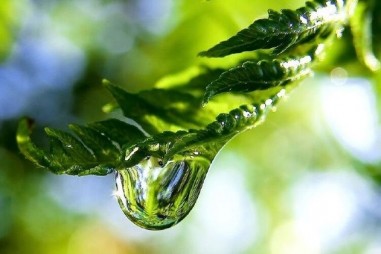 Phát hiện liên kết hóa học cực mạnh