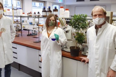 Vi khuẩn tạo “vũ khí”dược phẩm đa năng