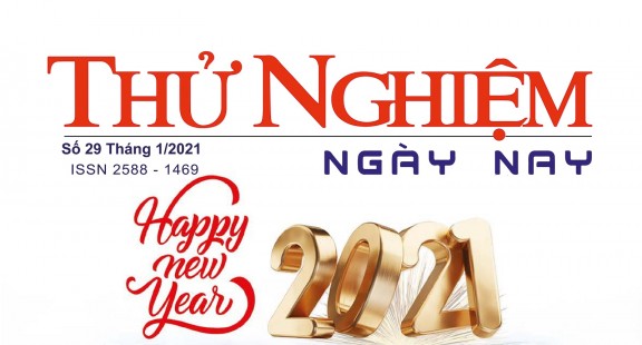 Thử nghiệm Ngày nay số 29