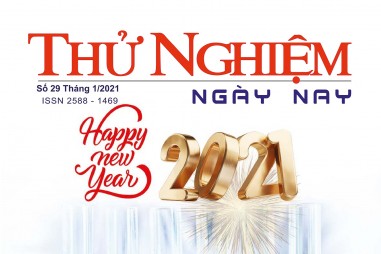 Thử nghiệm Ngày nay số 29