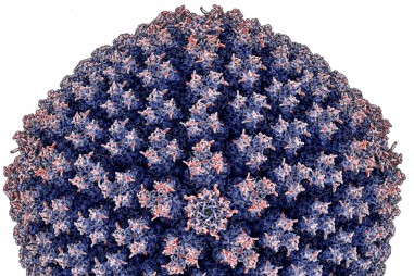 Hướng nghiên cứu mới về vaccine tiêu chảy