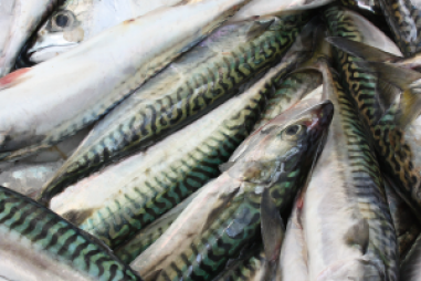 Phương pháp định lượng mới để đánh giá mức độ an toàn thực phẩm