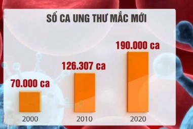 Gia tăng các bệnh ung thư tại Việt Nam