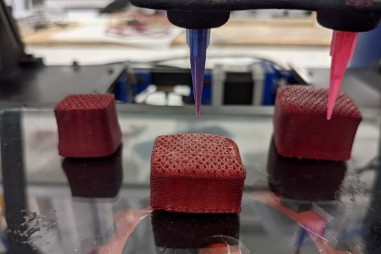 Nguyên mẫu thịt in 3D được sản xuất ở Tây Ban Nha