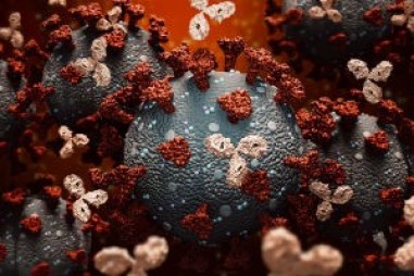 “Huấn luyện lại“ các kháng thể thuốc gốc có thể nhận diện SARS-CoV-2