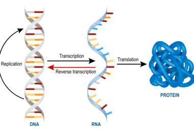 Những công nghệ tiên tiến giúp con người chiến đấu với Covid-19