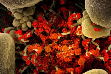 Vaccine Covid tạo ra phản ứng miễn dịch chống chủng biến thể