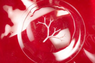 Sử dụng vi khuẩn như máy in 3D