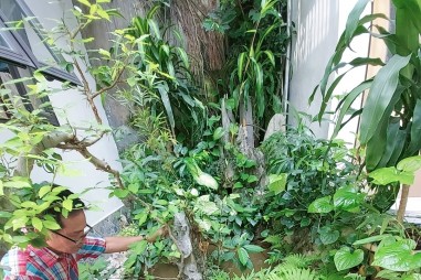 Những đam mê và thú chơi tao nhã giúp tâm hồn ở tuổi nghỉ hưu luôn tươi trẻ an yên