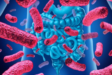 Hơn 140.000 loài virus đang sống trong ruột người, một nửa số này chưa từng được biết đến trước đây