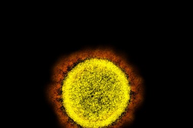 Thuốc bepridil có tiềm năng điều trị coronavirus