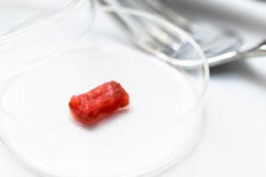 Chế tạo sinh học đổi mới của mô cơ bò trong phòng thí nghiệm