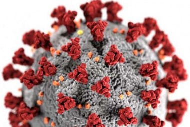 Phản ứng kháng thể có thể gây ra các kết quả khác nhau khi nhiễm Covid-19