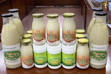 Đa dạng hóa sản phẩm chế biến từ hạt gạo Việt Nam