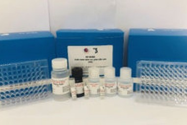 Kit chẩn đoán suy giáp bẩm sinh