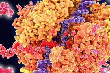 Phòng thử nghiệm bước đầu tìm hiểu lịch sử phát sinh sự sống trên trái đất