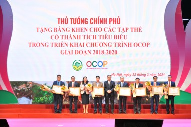 Phó Thủ tướng Trịnh Đình Dũng: Không “xuê xoa” trong đánh giá, công nhận sản phẩm OCOP