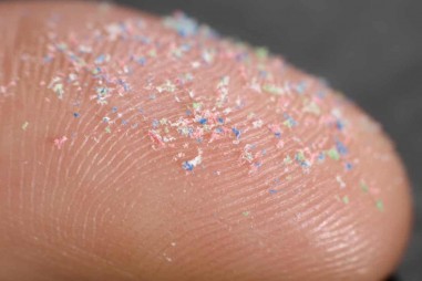 Nghiên cứu trên chuột cho thấy các hạt nhựa truyền từ mẹ sang thai nhi