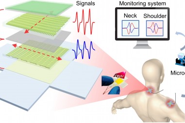 Thiết bị theo dõi chuyển động khớp cho người lao động ít vận động