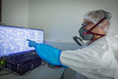 Virus cảm lạnh có thể ngăn chặn nCoV sao chép