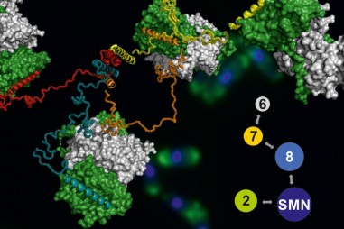 Hình ảnh 3D đầu tiên của một phân tử khổng lồ