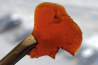 Nhựa làm từ các bộ phận thải của cá thân thiện với môi trường hơn