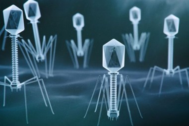 Các nhà khoa học nhắm đến khai thác "Tên lửa Tự tìm hướng" vi khuẩn khó tin