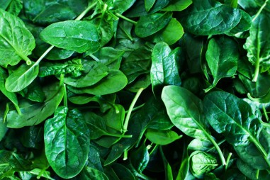 Rau bina có thể là chìa khóa để tăng sản lượng thịt nuôi?