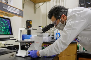 COVID-19 gây ra phản ứng tế bào