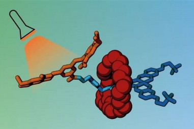 Vận chuyển thuốc chống ung thư trong “lồng” phân tử và “mở khóa” bằng ánh sáng