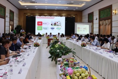 Tìm giải pháp nâng cao năng lực tuân thủ các quy định đối với xoài xuất khẩu