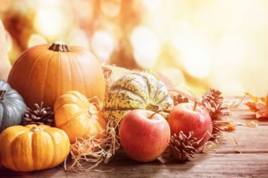 Cái nhìn mới về vi sinh vật của táo và bí ngô có dầu