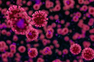 Các công cụ mới cho phân tích nhanh chuỗi vi rút Corona và theo dõi biến thể