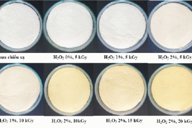 Bảo quản xoài bằng chitosan cắt mạch