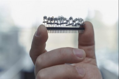 Mũi điện tử có thể phân biệt nhiều mùi bạc hà