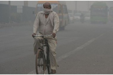 Vitamin B có thể bảo vệ chống ô nhiễm không khí