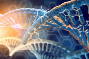 Phương pháp mới để sản xuất ADN tổng hợp