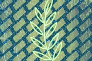 Tổng hợp một lớp vật liệu nano “bắt” ánh sáng mới