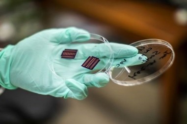 "Mũi điện tử" phát hiện tế bào ung thư trong mẫu máu